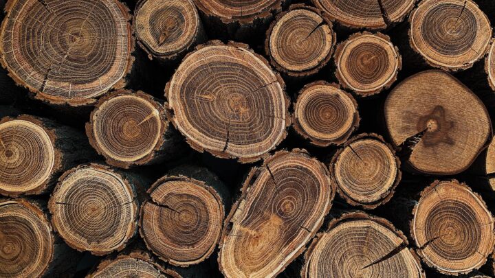 Kosteneinsparungen: Der Schlüssel zu effizientem Heizen mit Holz